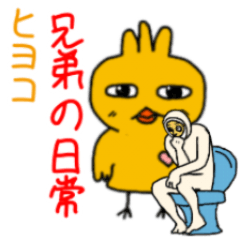 ヒヨコ兄弟の日常