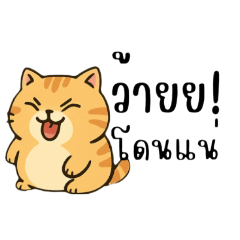 Dew Daffi_20251121104046