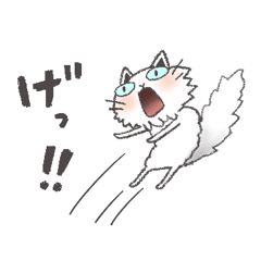 【猫】黒豆と豆乳と煮豆