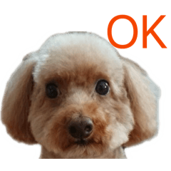 Nコロのスタンプ