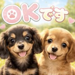 飛び出す♡ダックス