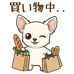 白いチワワのかわいい挨拶 日常