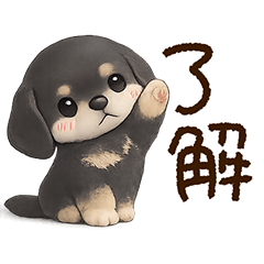 黒ミニチュアダックス