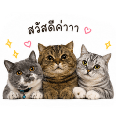 Sukanda_20260501112149