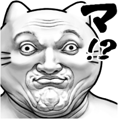 ネコノアンサー