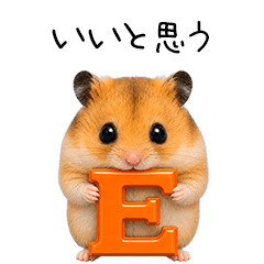 ハムっちの夏休み