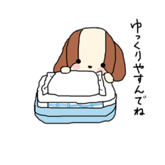 わんころチャン