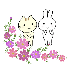 ネコとウサギ。まいにち言葉。