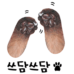 猫ベルちゃんの生活 01 (韓国語 Ver.)