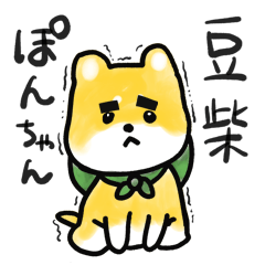 豆柴ぽんちゃん