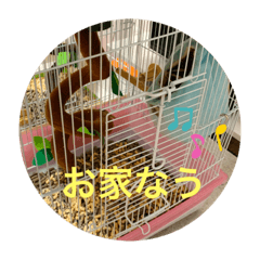 ももめめスタンプ