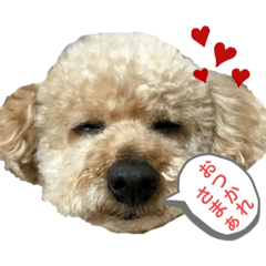 ポー兄と小太郎ときどきオカン