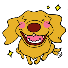 ゴールデンレトリバーのマー子