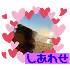 愛犬リキスタンプ2