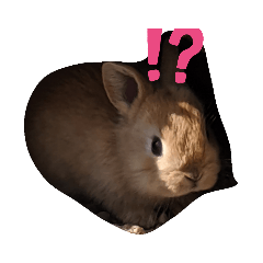 ウザギのスタンプ