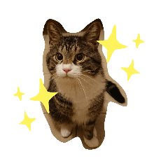 とろちゃんぶーちゃんたらちゃん