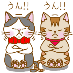 ハチワレ猫と麦わら猫の日々-2-