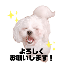 しらたみちざね