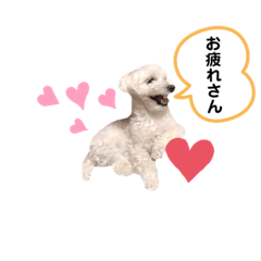 ぷうたろうでございます。No.7