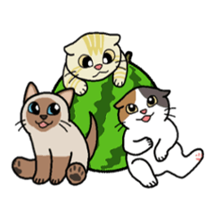 夏と　おりんと　きなこと　みゃすけと