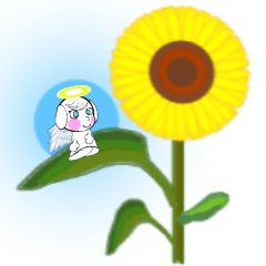 エンジェルドッグ