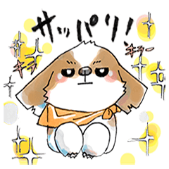 シーズー犬あうんのてんぽ♪Part1