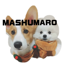 ましゅさんまろさんのスタンプ