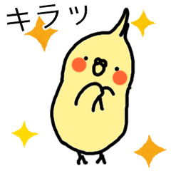 メッセージインコ