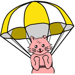 動くモモネコのピンちゃんとクウくん ①