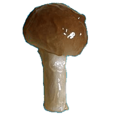 かみさんの職場のなめこのスタンプ