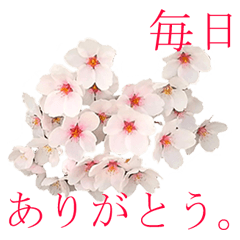 ホワイトデーにも！感謝を伝えるスタンプ。