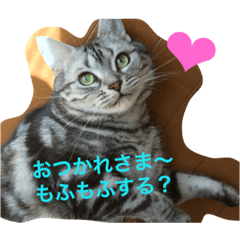 猫のみるきースタンプ♡