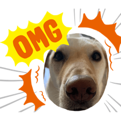 毎日らぶらどーる2