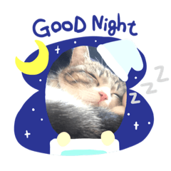 ふくまるっちょ