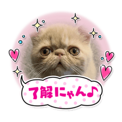 ぶんたと申します。