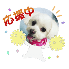 日常で使えるU^ェ^Uのスタンプ　　ＮＯ.2