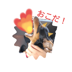 空ピンシャースタンプ3