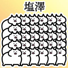 塩澤さんの塩澤さん専用名字スタンプ