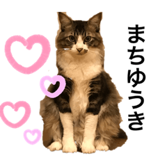 島さんスタンプ（土佐弁）