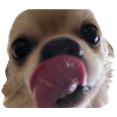 ルフィのスタンプ