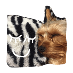 かわいいジータン