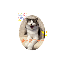 ナナ&のぼるスタンプ