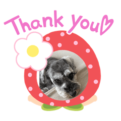 ラムさんメッセージ