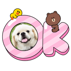 ペキックス　コロン