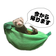 あざと可愛いふうちゃん