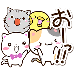 ネコたちとまるピヨ