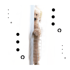 むぎまるスタンプ②