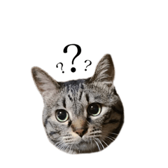 ミミがいちばんかわいいよ