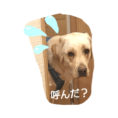 ラブ❤️はんこ(正月、日常編)3