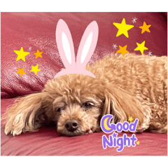 いちごみるくの日常